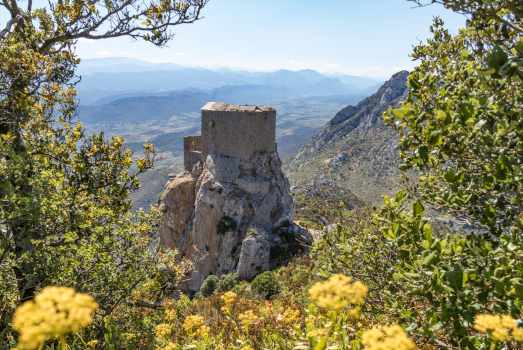La forteresse de Quéribus