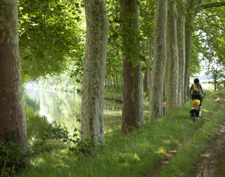 Balades en vélo le long du canal du midi