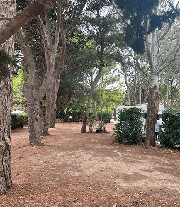 Emplacements camping pour camping-car dans l’Aude en pleine végétation au camping Rives des Corbières à Port-Leucate