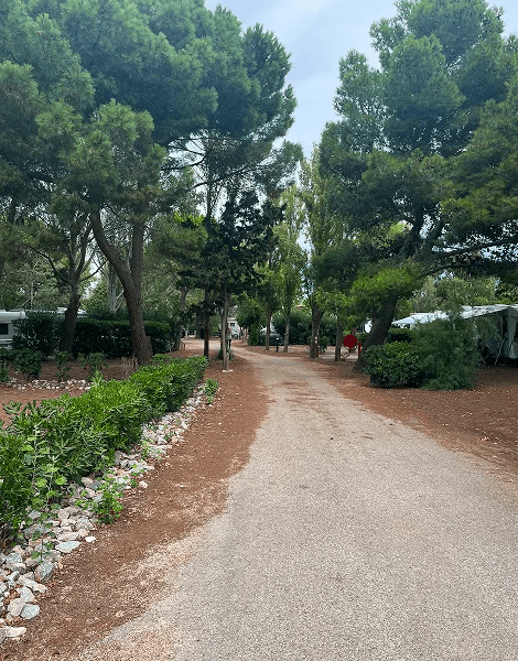 Emplacements camping dans l’Aude au camping Rives des Corbières à Port-Leucate